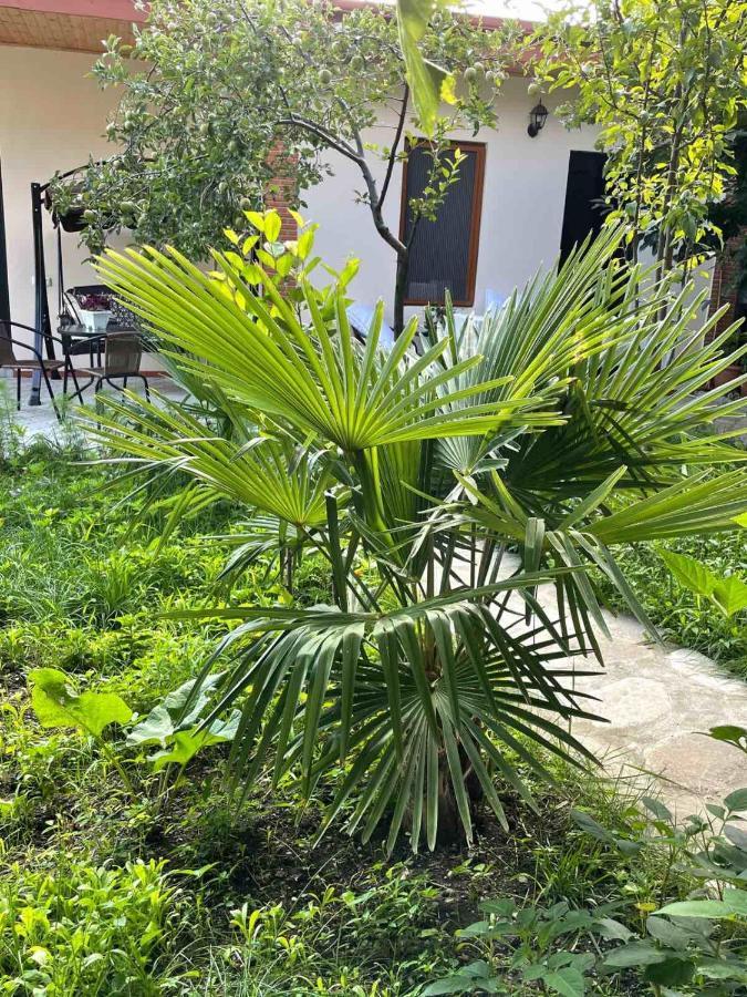 Ani-A Apartment Sighnaghi Ngoại thất bức ảnh